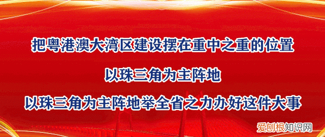 米缸里有很多黑粒虫怎么办?,米缸里有黑色的小虫怎么办