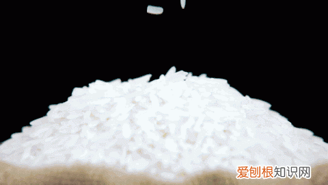 米缸里有很多黑粒虫怎么办?,米缸里有黑色的小虫怎么办