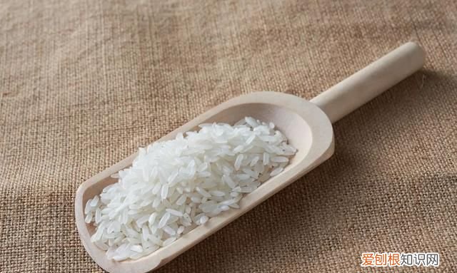 米缸里有很多黑粒虫怎么办?,米缸里有黑色的小虫怎么办