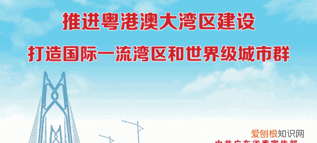 米缸里有很多黑粒虫怎么办?,米缸里有黑色的小虫怎么办