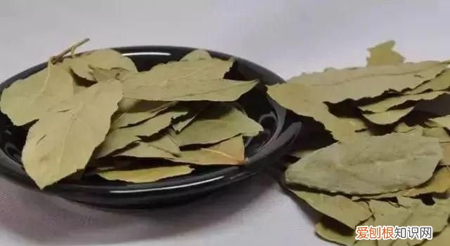 米缸里有很多黑粒虫怎么办?,米缸里有黑色的小虫怎么办