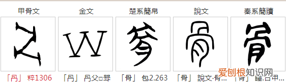 甲骨文是篆书,甲骨文字体是什么字体
