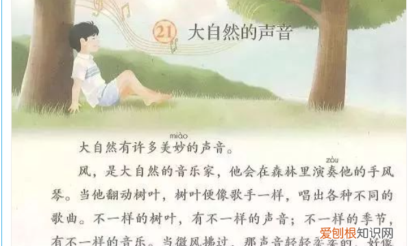 《大自然的声音》的作者是谁，大自然的声音采用了什么结构方式