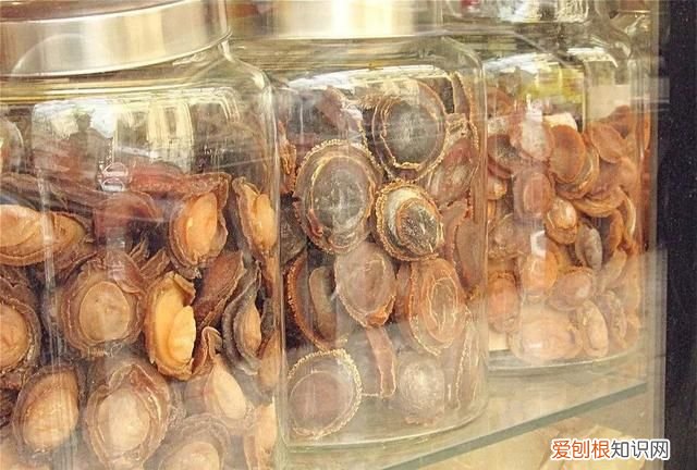 鲍鱼保存最简单方法 鲍鱼的储存方法是什么