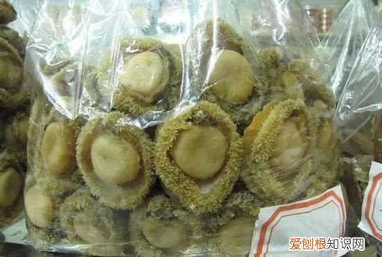 鲍鱼保存最简单方法 鲍鱼的储存方法是什么