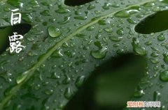 二十四节气2023年白露节气祝福语四篇