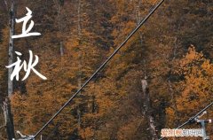 祝福语：2023赞美立秋节气的唯美短句