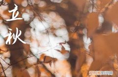 关于立秋的短信祝福语大全2023
