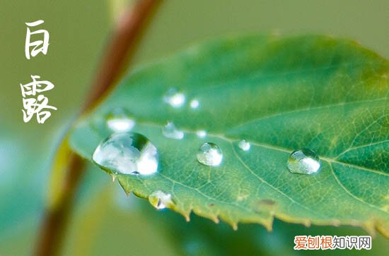 2023白露文艺唯美的秋天说说祝福语80句