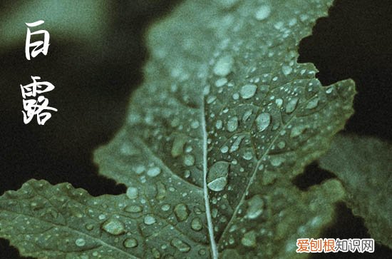 2023白露节气说说祝福语大全50句