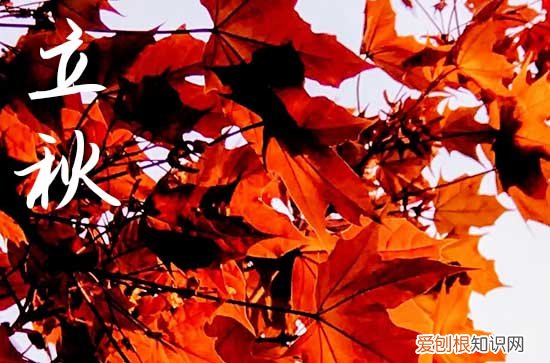 精选137句 2023年经典立秋祝福语大全