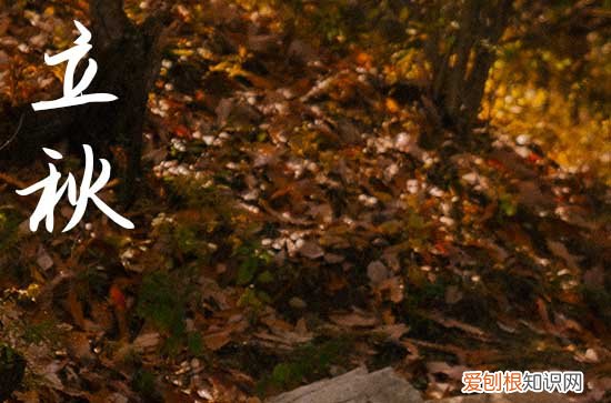 2023经典立秋微信祝福语大全