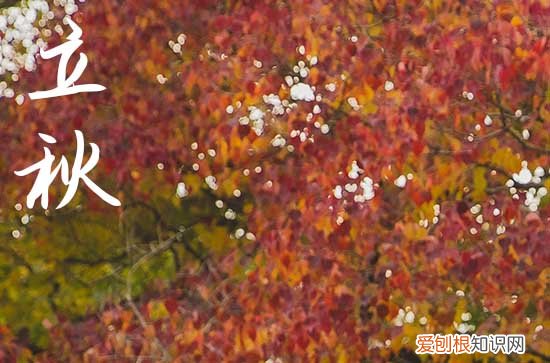 2023年立秋祝福语20句