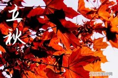 祝福语：2023立秋说说发朋友圈文案80句