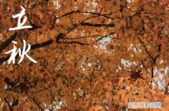 2023立秋短信祝福语18篇