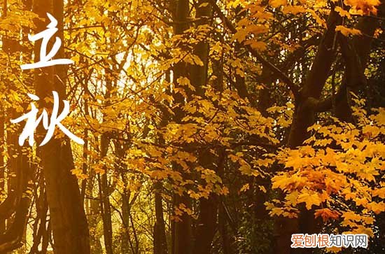 20条 立秋祝福语2023