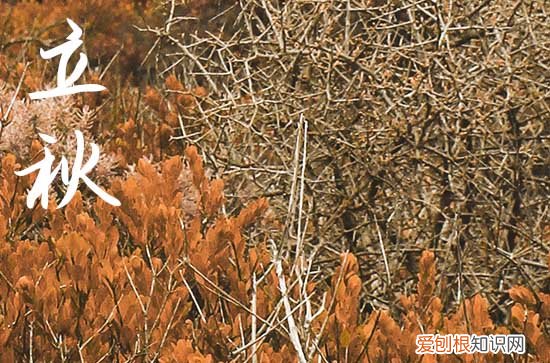 20篇 立秋祝福语2023