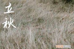 立秋祝福语2023