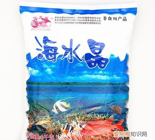 1斤水放多少海盐做海水,40斤水放多少盐和海水一样盐度