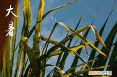 精选50句 2023年大暑祝福语大全