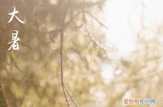 祝福短语:2023大暑祝福短信 大暑经典祝福语