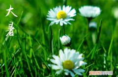 50句 2023大暑祝福语