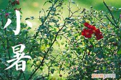 2023年小暑的经典祝福语短句大全