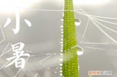 二十四节气2023年小暑时节祝福语短信怎么写