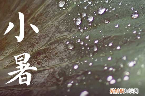 2023小暑节气祝福语20句