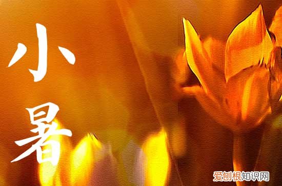 精选71句 2023小暑快乐祝福语