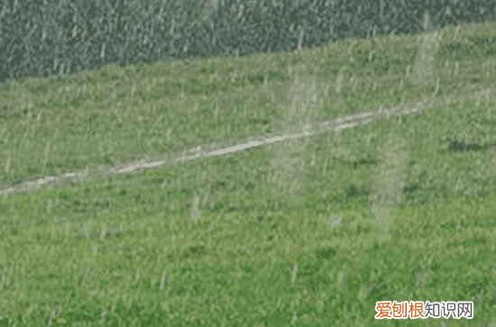 80句大全 雨天个性朋友圈说说