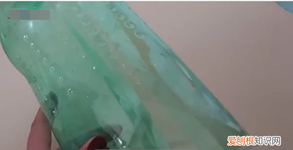 雪碧瓶怎么做东西，怎么DIY雪碧瓶做花篮