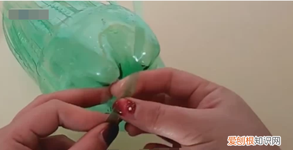 雪碧瓶怎么做东西，怎么DIY雪碧瓶做花篮