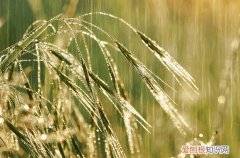 下雨天气吸引人的朋友圈文案80句