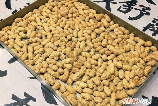 烤箱怎么烤带壳花生，烤箱转笼烤花生多少温度时间合适