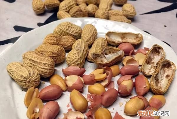 烤箱怎么烤带壳花生，烤箱转笼烤花生多少温度时间合适