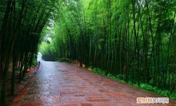 宜昌十大旅游景点排名