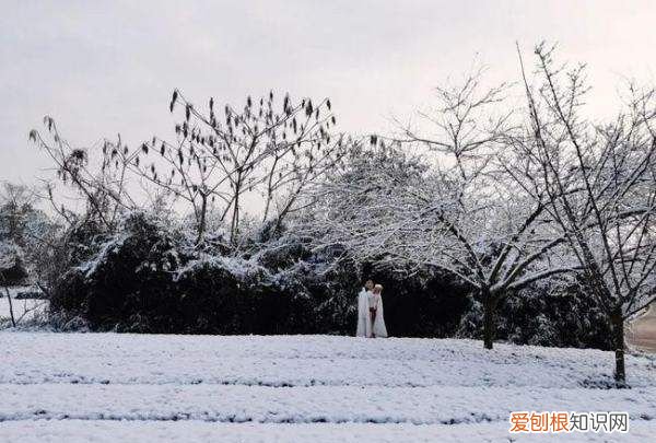 此生也算共白头出自哪里,此生也算共白头全诗是什么意思