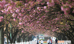 没考好应该怎么和老师说，孩子考试没考好怎么和老师沟通
