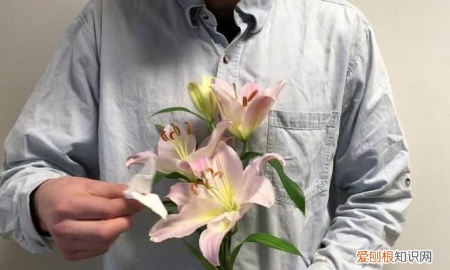 去除衣服上花粉的 7 个步骤是什么