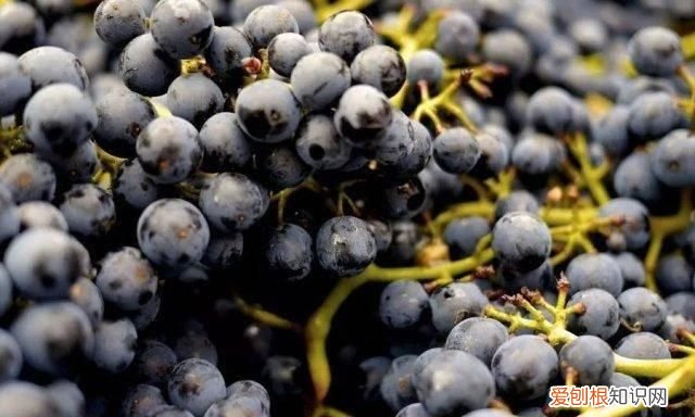 克罗地亚的美妙之处,克罗地亚有哪些著名的城市