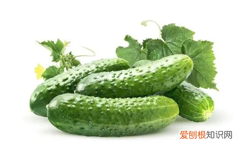 减脂期间吃黄瓜可以，减肥期间什么都不吃 天天吃黄瓜可以吗