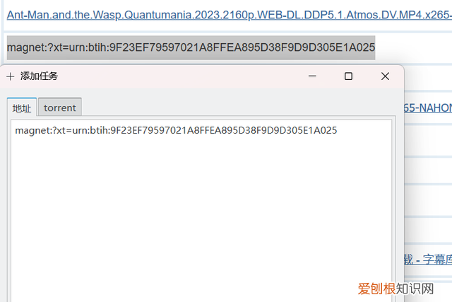 迅雷软件开源最新免费版 和迅雷不相上下的开源软件