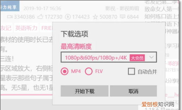 哔哩哔哩电脑版怎么，b站如何在电脑上登录