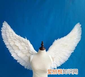 怎么制作抖音翅膀效果，抖音怎么拍天使的翅膀特效