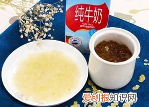 雪莲子的做法，雪莲子怎么煮