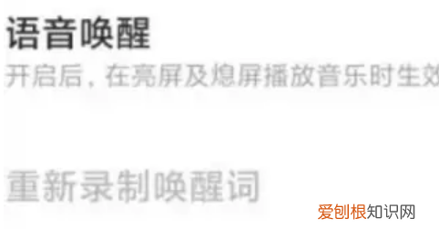 小米手机语音唤醒功能在哪里,小米语音唤醒功能怎么设置其它声音