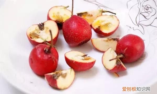 食物的药用功效,最有效无副作用的抗过敏药和食物