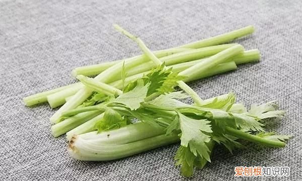 食物的药用功效,最有效无副作用的抗过敏药和食物