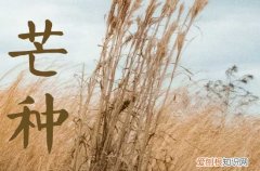 芒种一般是在阳历的几月